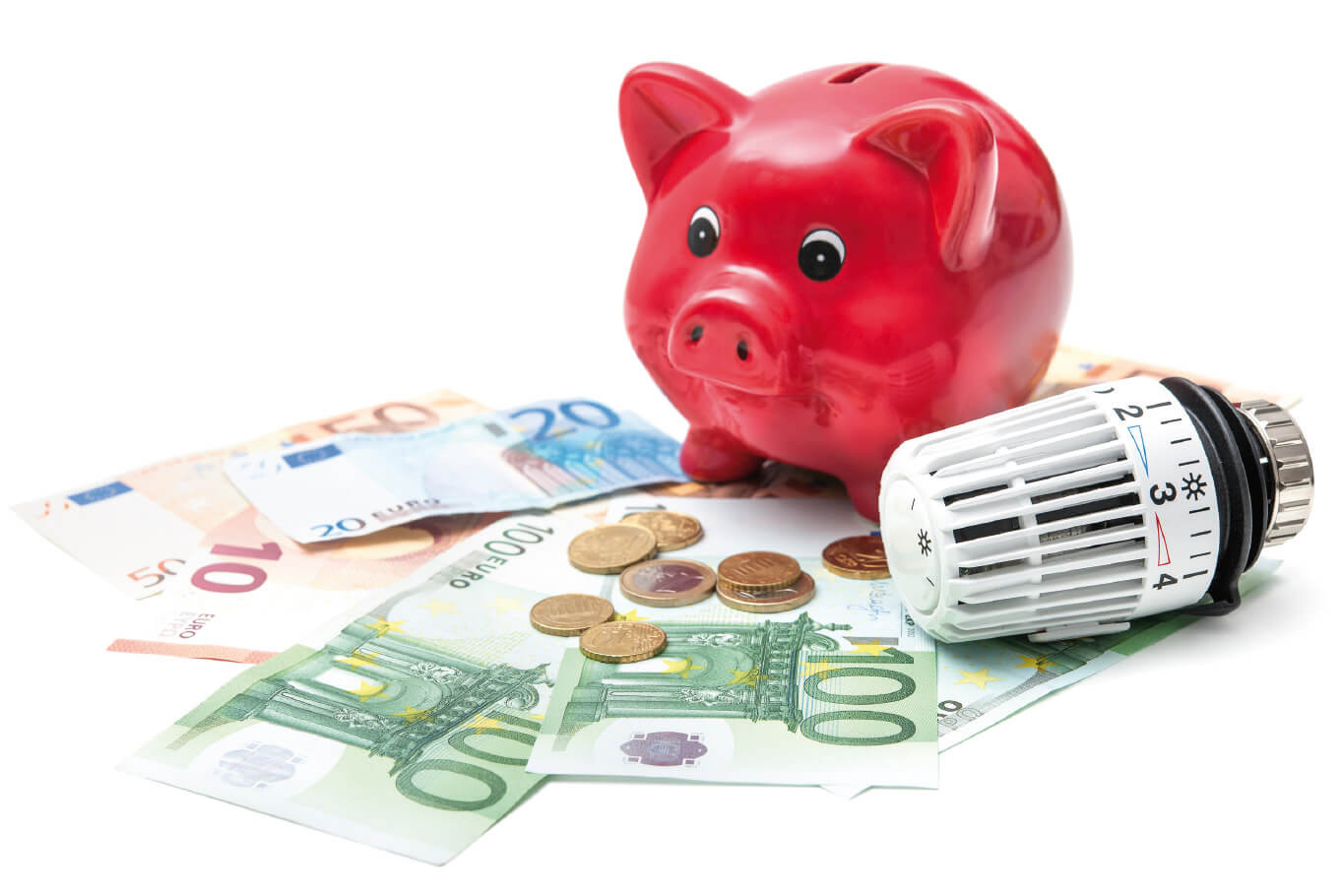 Sparschwein, Geldscheine und Thermostat