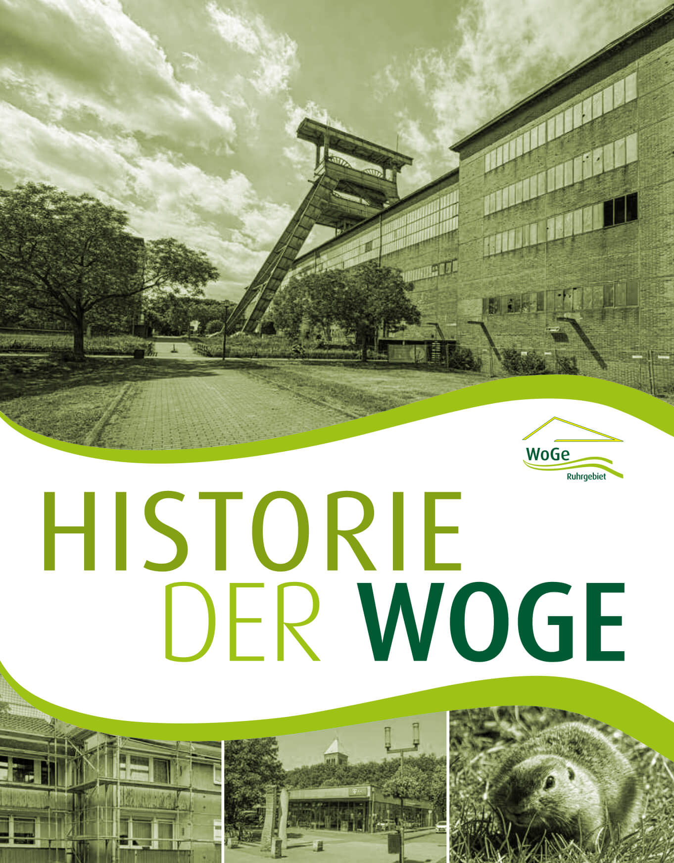 zur Historie der WoGe